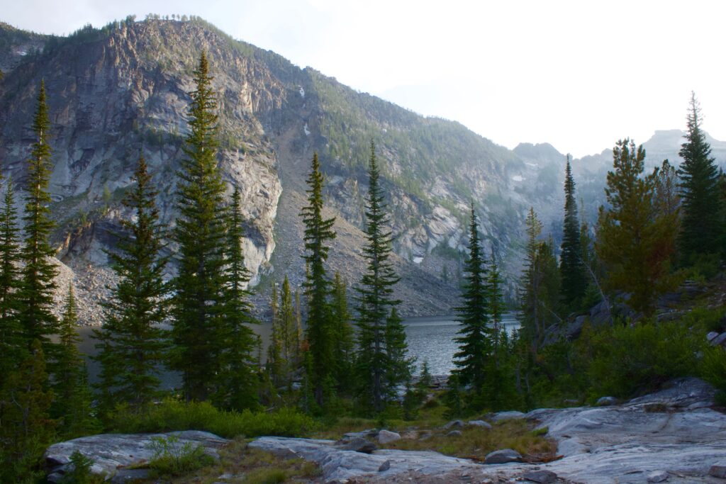 mountain wilderness