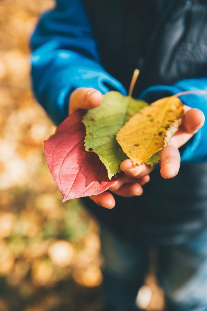 environmental education